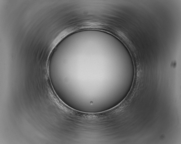 X0000115431370200911181450