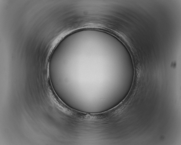 X0000115431371200911181450