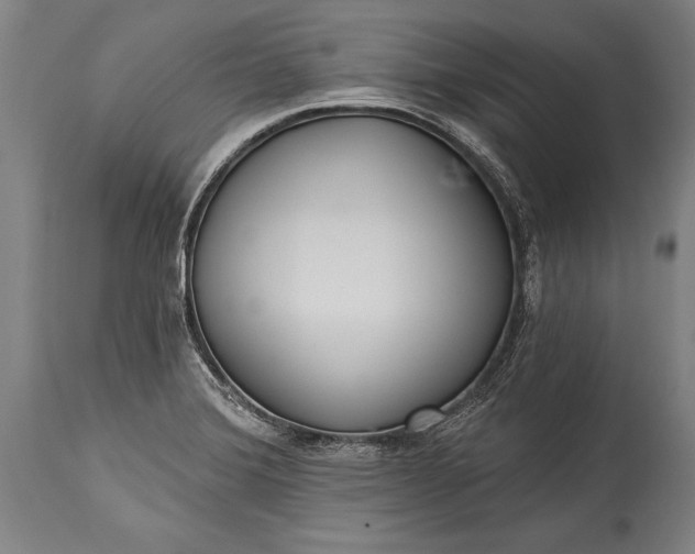 X0000115431372200911181450