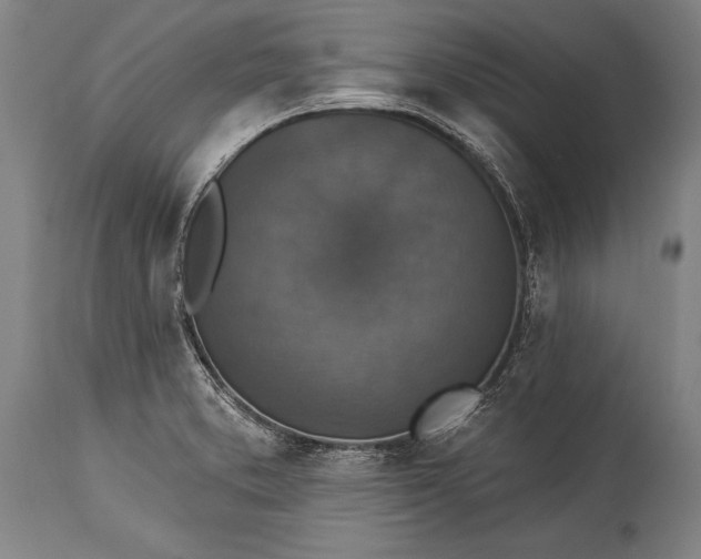 X0000115431373200911181450