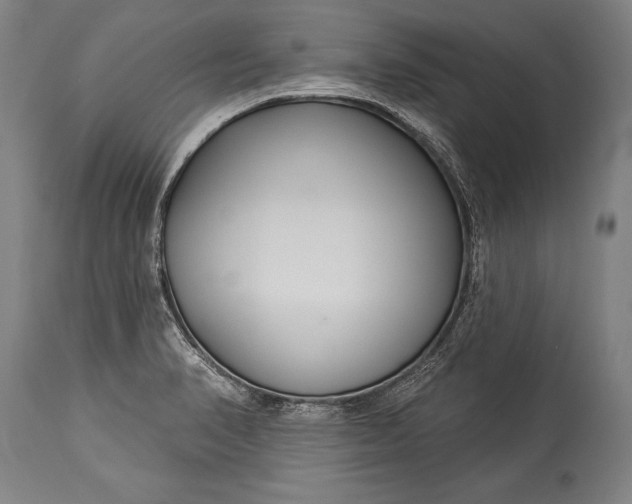 X0000115431374200911181450