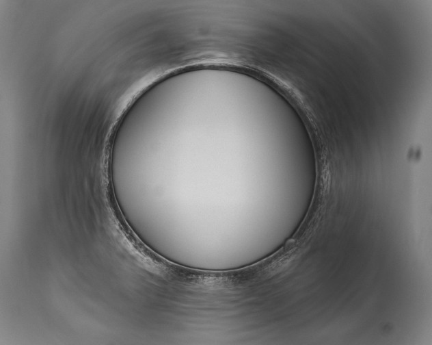 X0000115431375200911181450