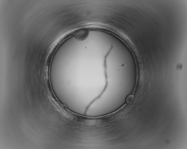 X0000115431376200911181450