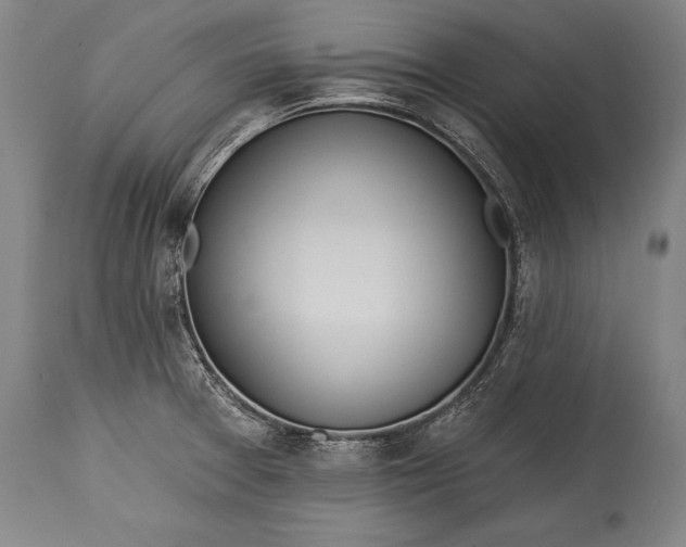 X0000115431377200911181450