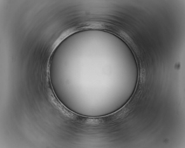 X0000115431378200911181450