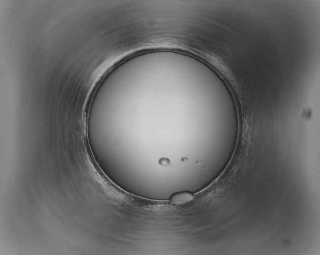 X0000115431380200911181450