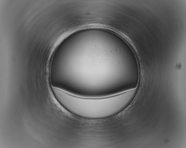 X0000115431381200911181450