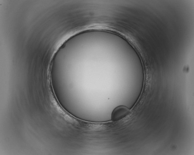 X0000115431382200911181450