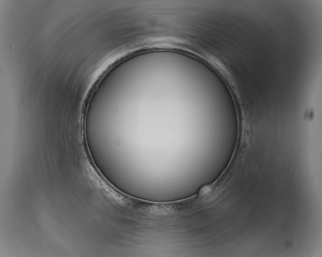 X0000115431384200911181450