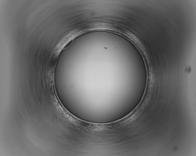 X0000115431385200911181450