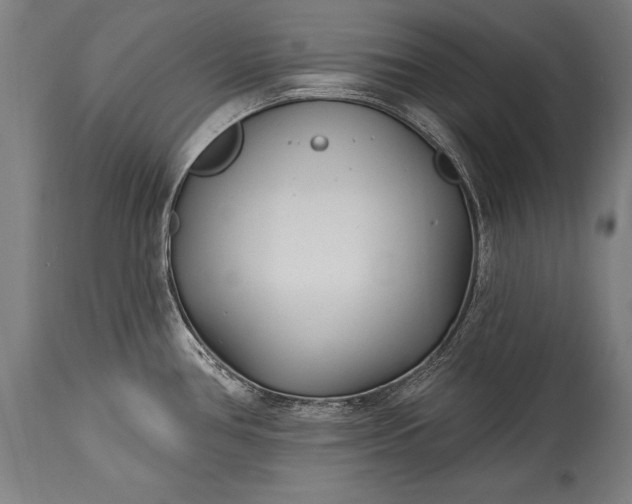 X0000115431386200911181450