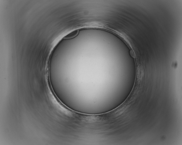 X0000115431387200911181450