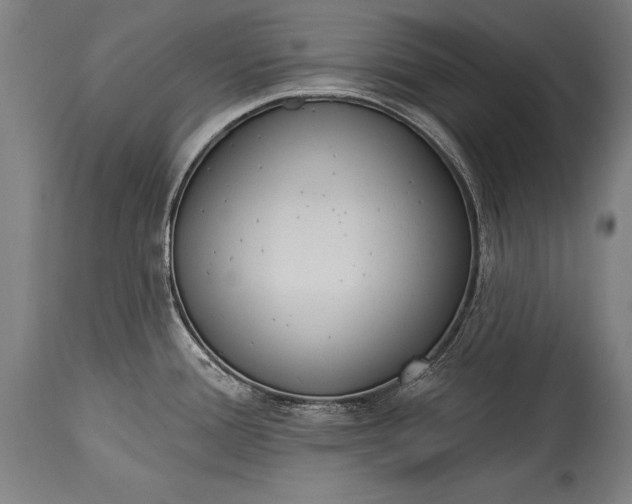 X0000115431388200911181450