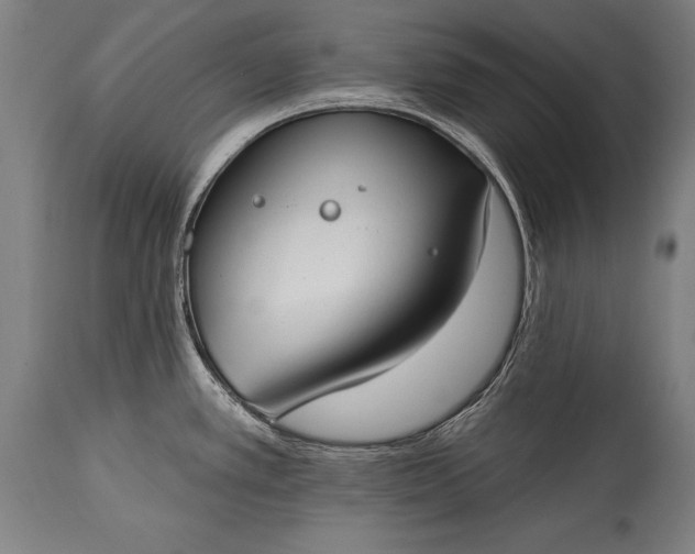 X0000115431389200911181450