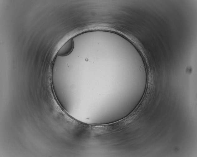 X0000115431390200911181450