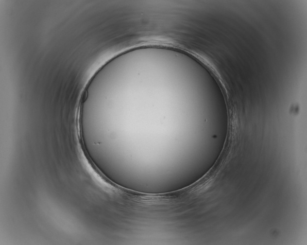 X0000115431391200911181450