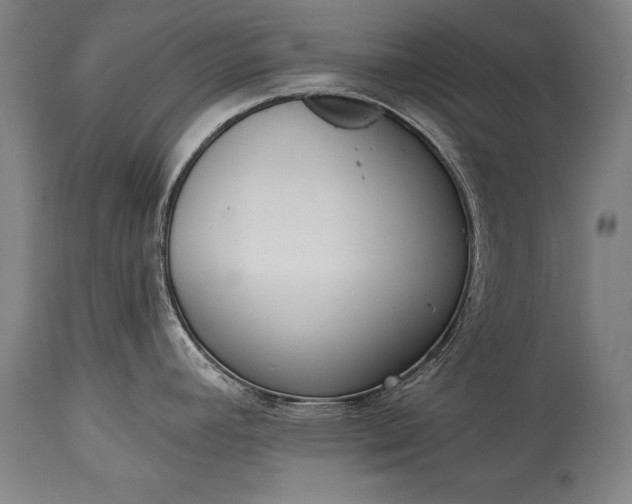 X0000115431392200911181450