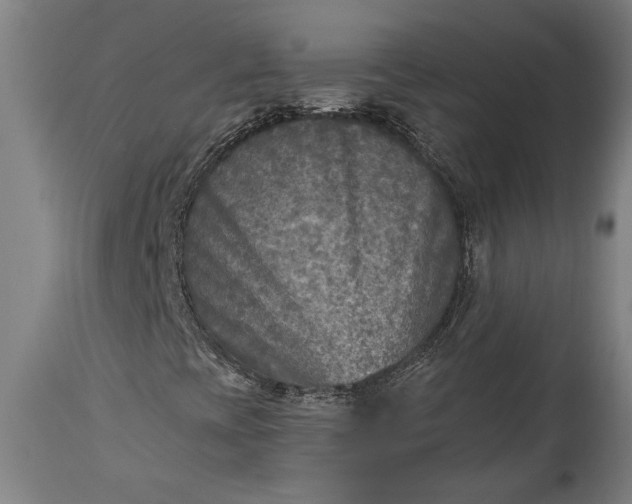 X0000115431393200911181449