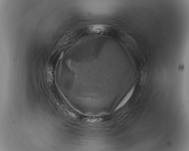 X0000115431394200911181449