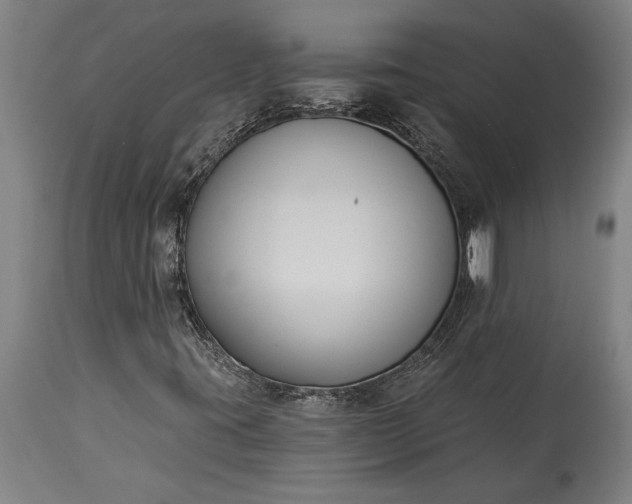 X0000115431395200911181449