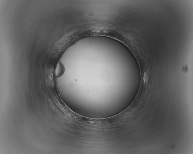 X0000115431396200911181449