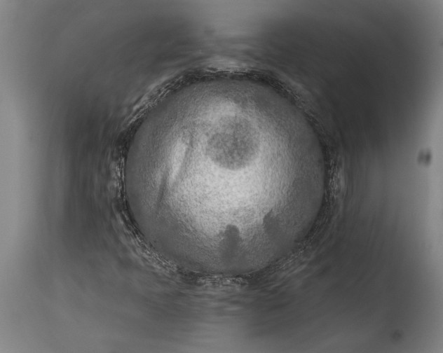 X0000115431397200911181449