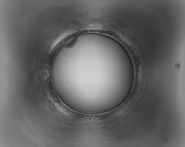 X0000115431400200911181450