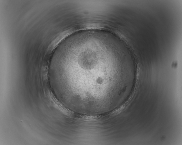 X0000115431401200911181450