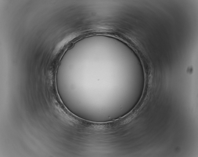 X0000115431402200911181450