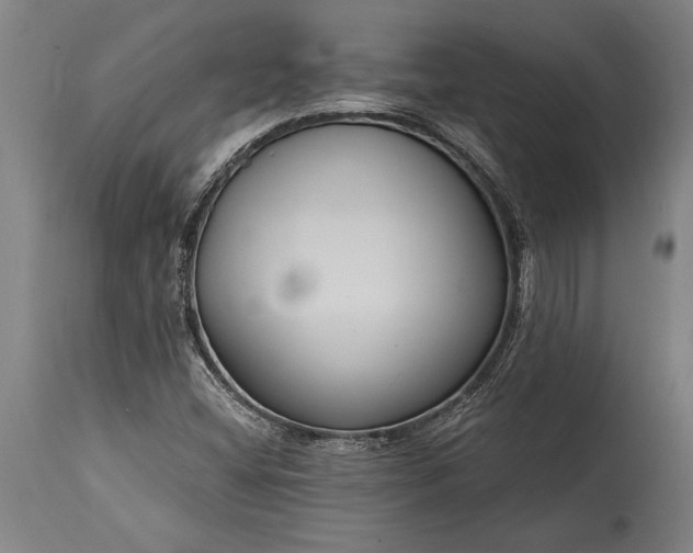 X0000115431404200911181450