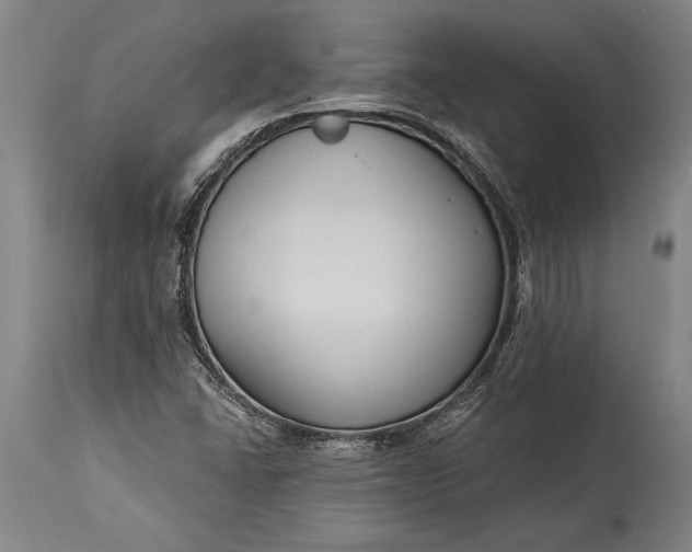 X0000115431406200911181450