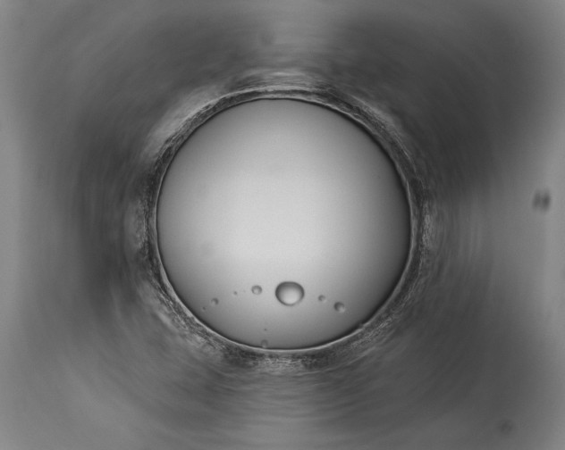 X0000115431407200911181450