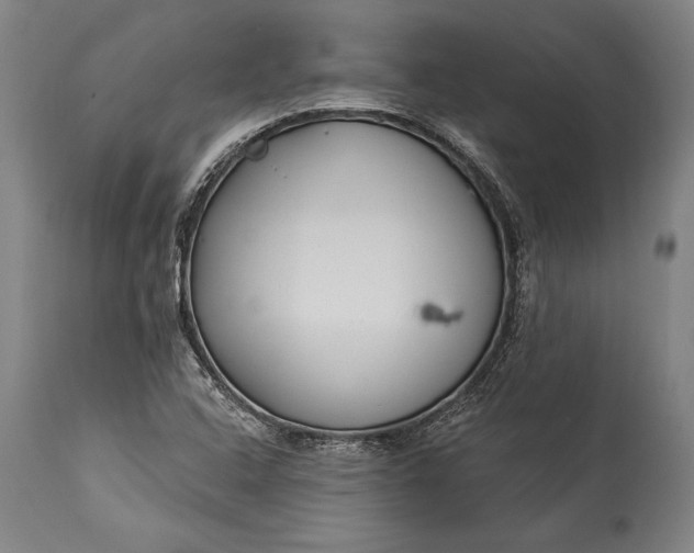 X0000115431408200911181450