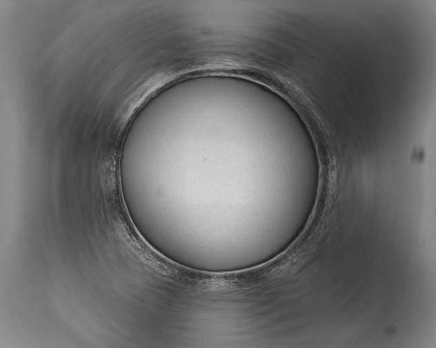 X0000115431409200911181450