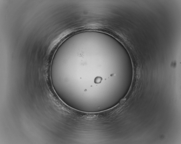 X0000115431410200911181450