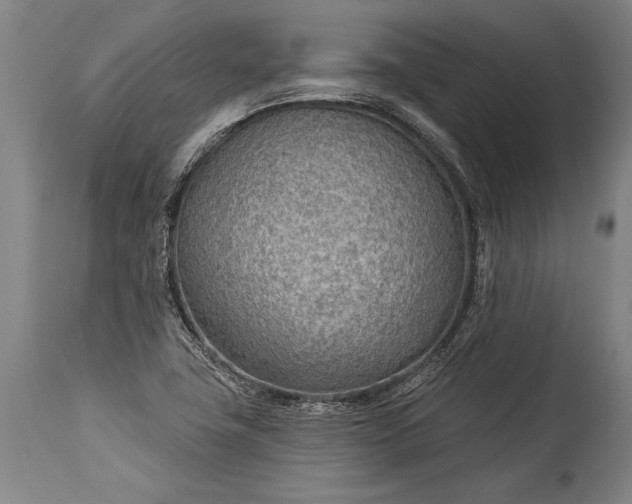 X0000115431411200911181450