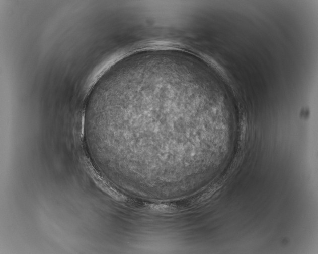 X0000115431413200911181450