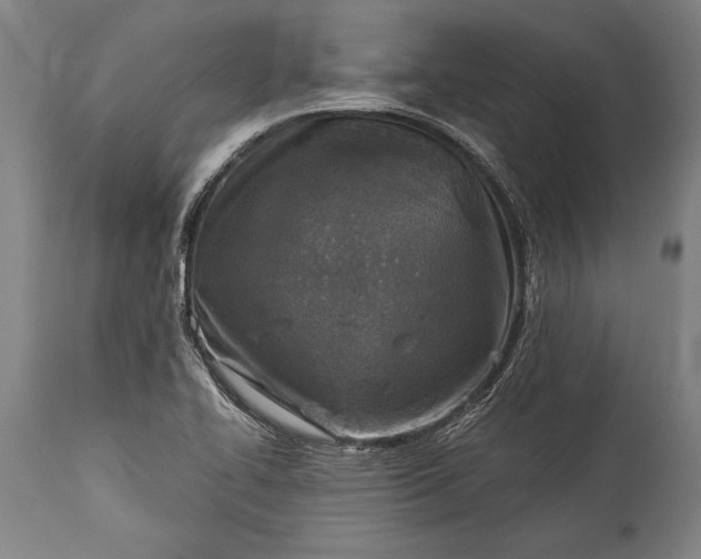 X0000115431414200911181450