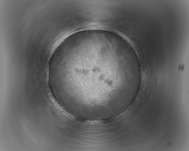 X0000115431415200911181450