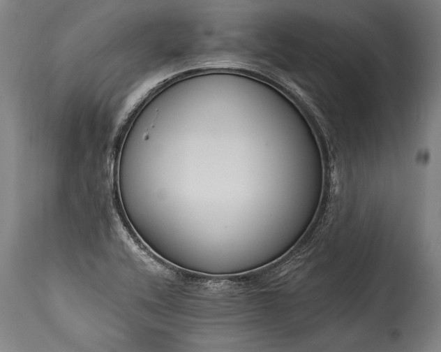 X0000115431416200911181450