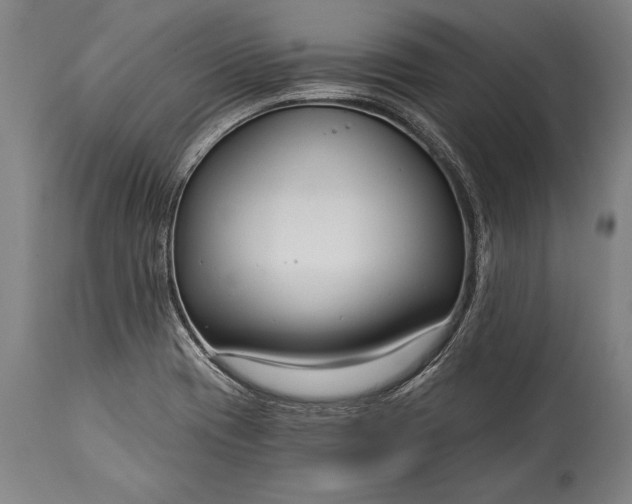 X0000115431417200911181450