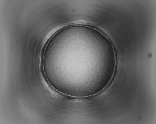 X0000115431418200911181450