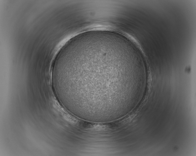 X0000115431419200911181450