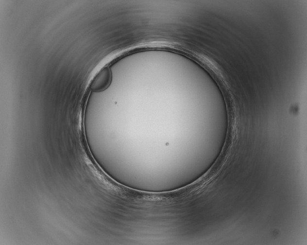 X0000115431420200911181450