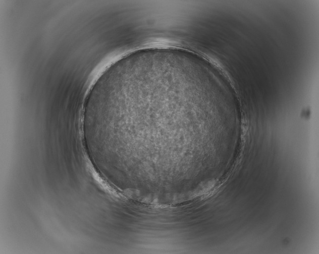 X0000115431421200911181450