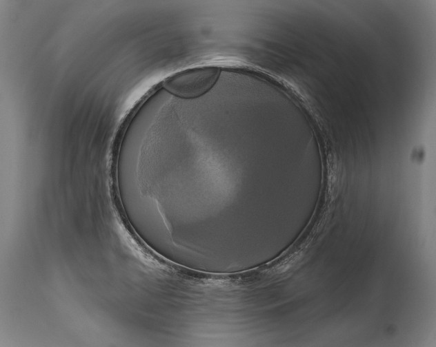 X0000115431422200911181450