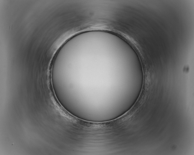 X0000115431423200911181450