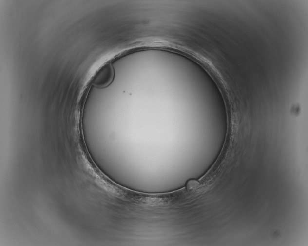 X0000115431424200911181450