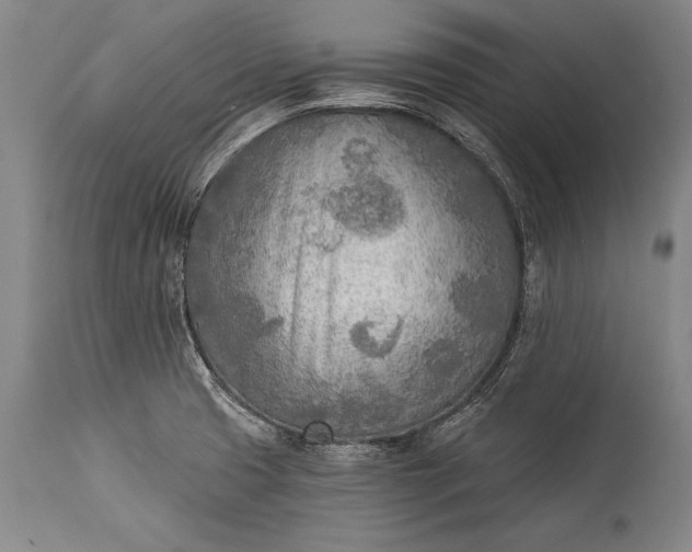 X0000115431425200911181450