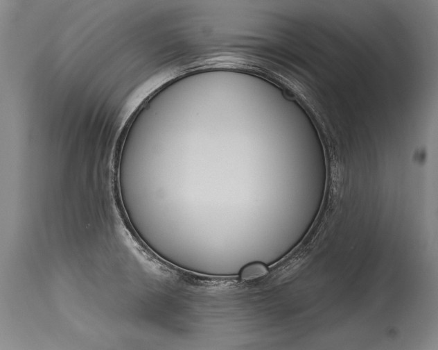 X0000115431426200911181450